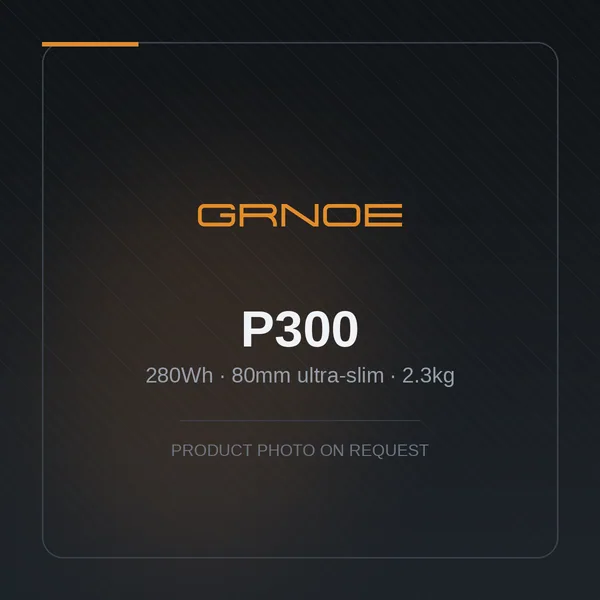 P300 Portable Power Station · 300W